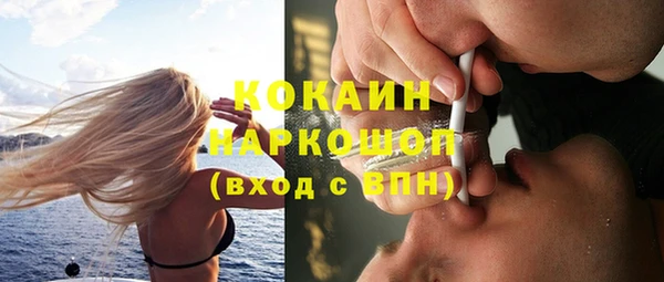 ГАЛЛЮЦИНОГЕННЫЕ ГРИБЫ Козловка