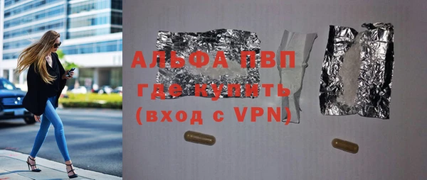 ГАЛЛЮЦИНОГЕННЫЕ ГРИБЫ Козловка