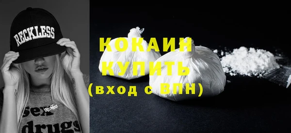 ГАЛЛЮЦИНОГЕННЫЕ ГРИБЫ Козловка