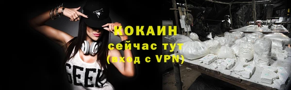 ГАЛЛЮЦИНОГЕННЫЕ ГРИБЫ Козловка