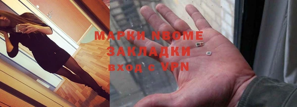 ГАЛЛЮЦИНОГЕННЫЕ ГРИБЫ Козловка