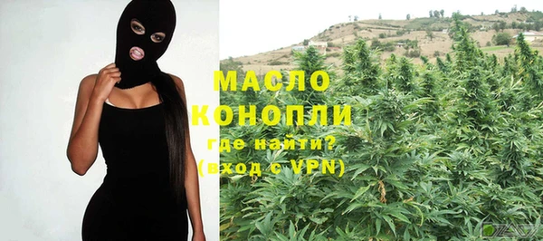 ГАЛЛЮЦИНОГЕННЫЕ ГРИБЫ Козловка