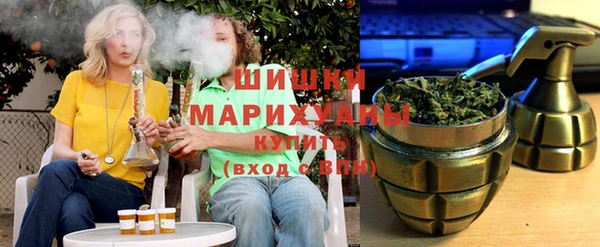 ГАЛЛЮЦИНОГЕННЫЕ ГРИБЫ Козловка