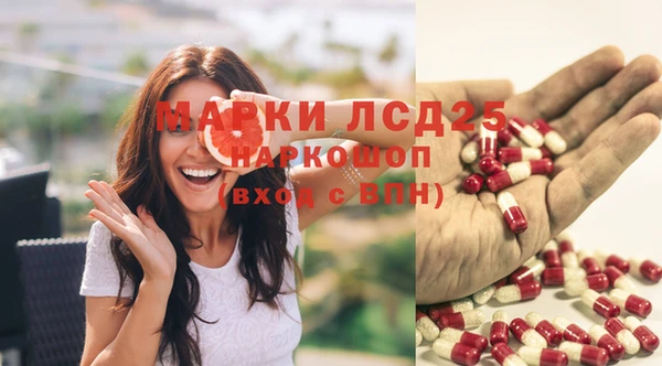 mdpv Кодинск