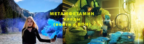 ГАЛЛЮЦИНОГЕННЫЕ ГРИБЫ Козловка